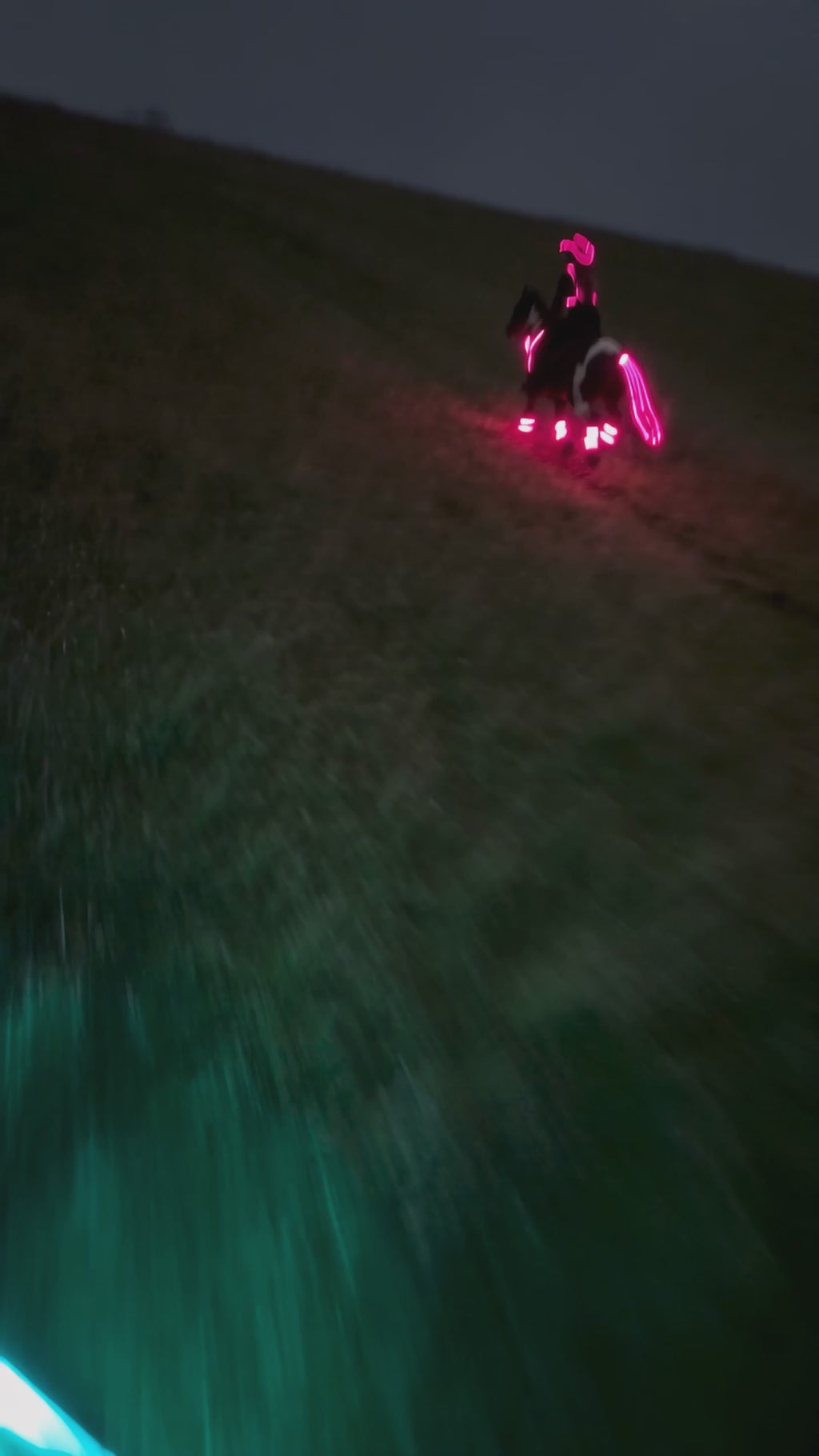 LED leg bands and tail light glowing at dusk