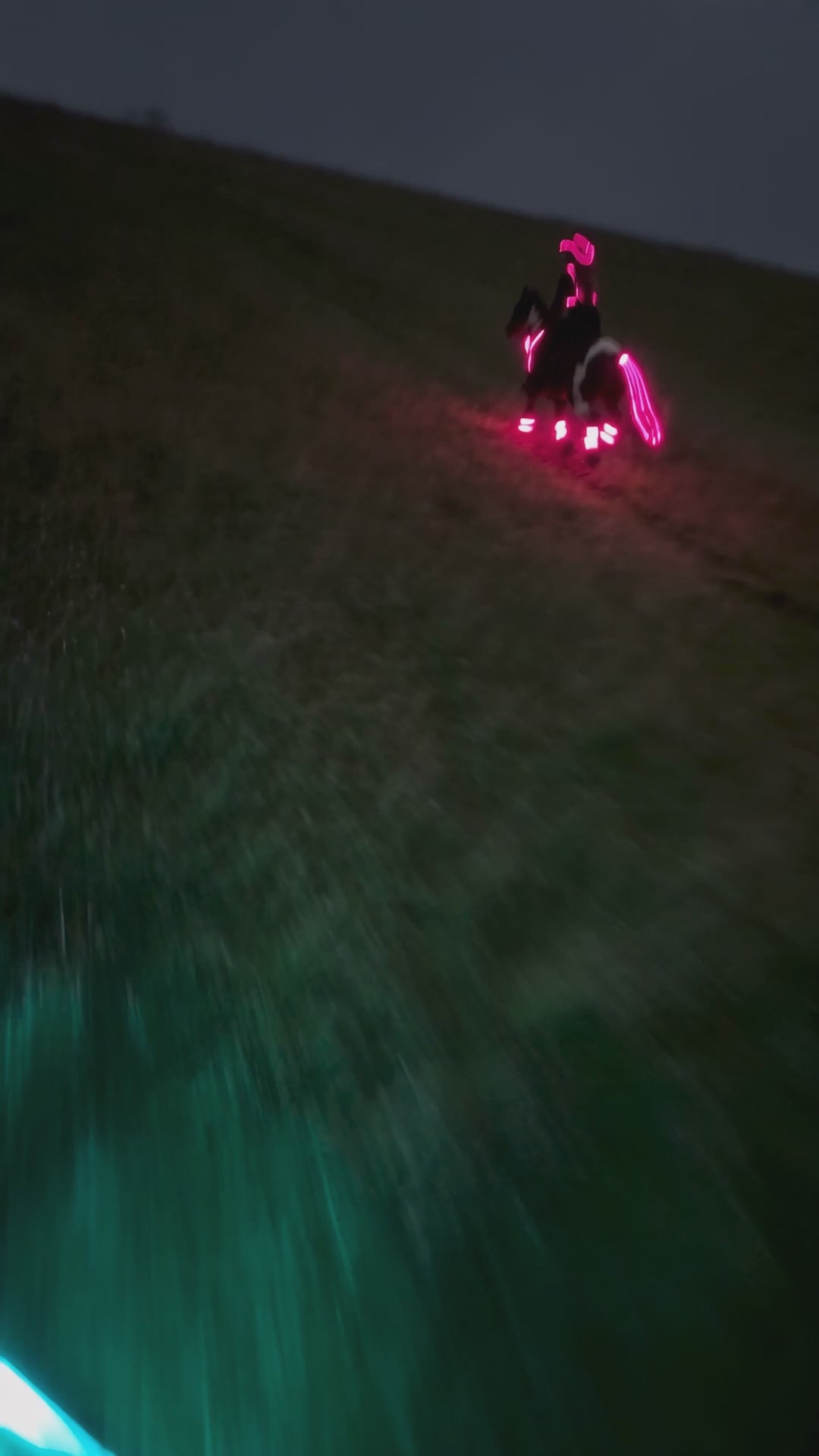 LED leg bands and tail light glowing at dusk